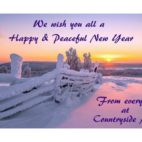 Happy New Year